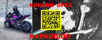 прущие грибы Тара