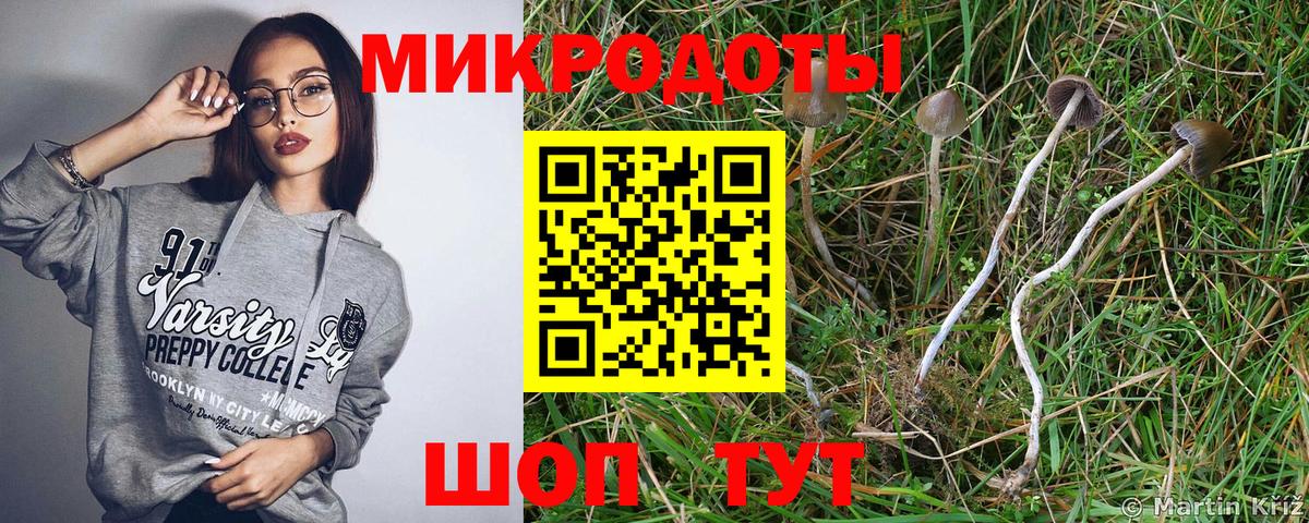 Галлюциногенные грибы ЛСД Минусинск