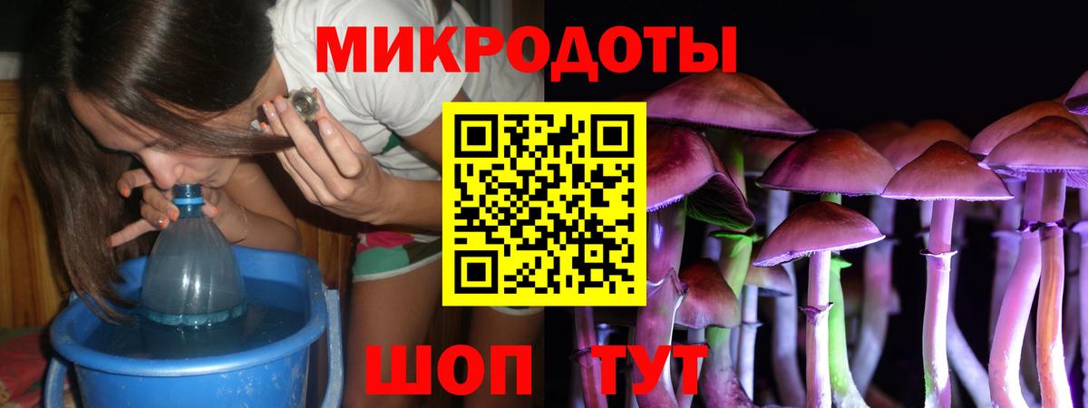 Псилоцибиновые грибы прущие грибы  Вход с VPN  Псилоцибиновые грибы Psilocybe  Минусинск 